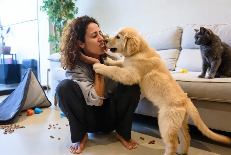 erros no adestramento de pets em apartamento